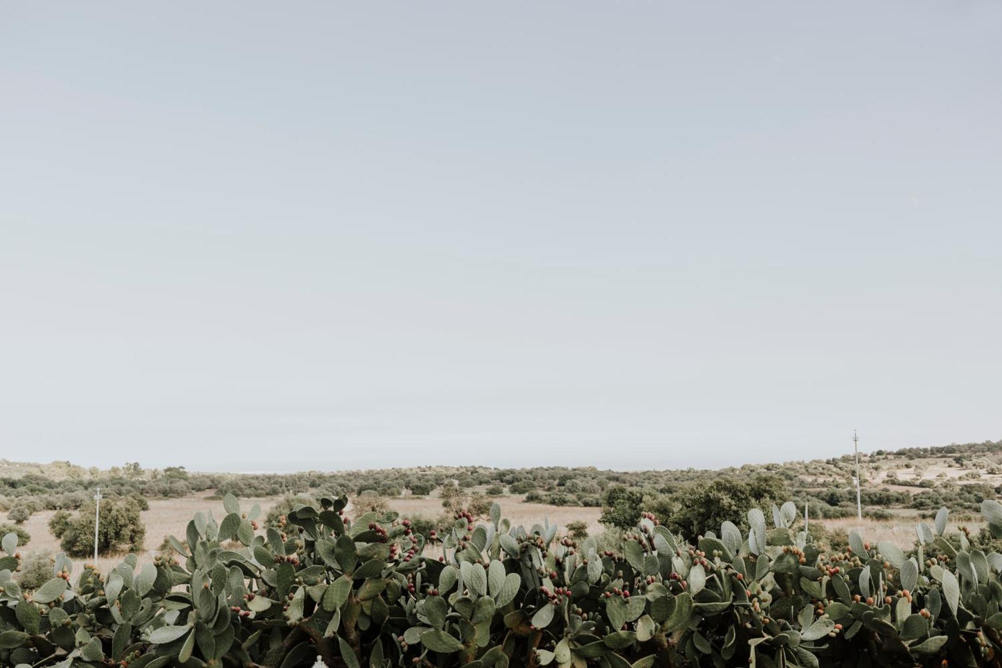 Bibbia- Tenuta Di Campagna パラッツォーロ・アクレイデ エクステリア 写真